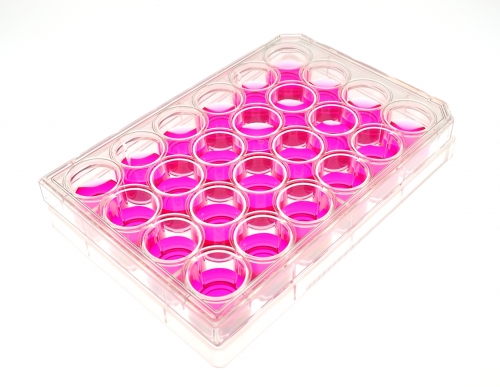 ガラスボトムディッシュ【MatTek】 製品詳細│医療、食品、環境分野の